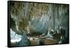 Carlsbad Caverns-Science Source-Framed Stretched Canvas