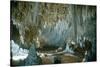 Carlsbad Caverns-Science Source-Stretched Canvas