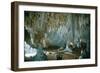 Carlsbad Caverns-Science Source-Framed Giclee Print