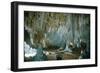 Carlsbad Caverns-Science Source-Framed Giclee Print