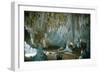 Carlsbad Caverns-Science Source-Framed Giclee Print