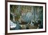 Carlsbad Caverns-Science Source-Framed Giclee Print