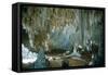 Carlsbad Caverns-Science Source-Framed Stretched Canvas