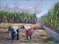 Sugarcane Harvest, 1986-Carlton Murrell-Giclee Print