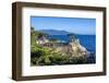 Carmel Bay, Lone Cypress at Pebble Beach, 17 Mile Drive, Peninsula, Monterey, California, USA-Toms Auzins-Framed Photographic Print