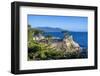 Carmel Bay, Lone Cypress at Pebble Beach, 17 Mile Drive, Peninsula, Monterey, California, USA-Toms Auzins-Framed Photographic Print