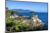 Carmel Bay, Lone Cypress at Pebble Beach, 17 Mile Drive, Peninsula, Monterey, California, USA-Toms Auzins-Mounted Photographic Print