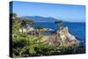 Carmel Bay, Lone Cypress at Pebble Beach, 17 Mile Drive, Peninsula, Monterey, California, USA-Toms Auzins-Stretched Canvas