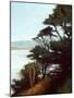 Carmel Bay-Miguel Dominguez-Mounted Giclee Print