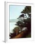 Carmel Bay-Miguel Dominguez-Framed Giclee Print