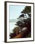 Carmel Bay-Miguel Dominguez-Framed Giclee Print