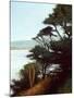 Carmel Bay-Miguel Dominguez-Mounted Giclee Print