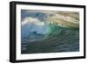 Carmel Beach, California, Bird Flying in Breaking Wave-Sheila Haddad-Framed Photographic Print