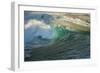 Carmel Beach, California, Bird Flying in Breaking Wave-Sheila Haddad-Framed Photographic Print