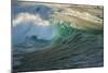 Carmel Beach, California, Bird Flying in Breaking Wave-Sheila Haddad-Mounted Photographic Print