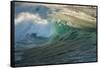 Carmel Beach, California, Bird Flying in Breaking Wave-Sheila Haddad-Framed Stretched Canvas