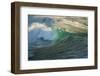 Carmel Beach, California, Bird Flying in Breaking Wave-Sheila Haddad-Framed Photographic Print