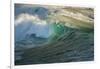 Carmel Beach, California, Bird Flying in Breaking Wave-Sheila Haddad-Framed Photographic Print