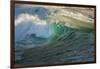 Carmel Beach, California, Bird Flying in Breaking Wave-Sheila Haddad-Framed Photographic Print