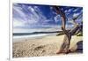 Carmel Beach, California-George Oze-Framed Photographic Print