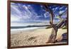 Carmel Beach, California-George Oze-Framed Photographic Print