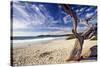 Carmel Beach, California-George Oze-Stretched Canvas