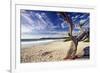 Carmel Beach, California-George Oze-Framed Photographic Print