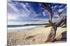 Carmel Beach, California-George Oze-Mounted Photographic Print