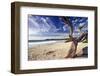 Carmel Beach, California-George Oze-Framed Photographic Print