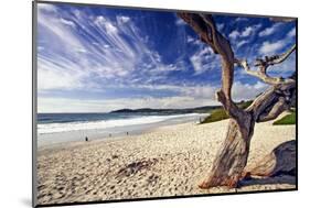 Carmel Beach, California-George Oze-Mounted Photographic Print