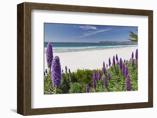 Carmel Beach Spring Vista, California-George Oze-Framed Photographic Print