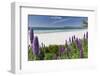 Carmel Beach Spring Vista, California-George Oze-Framed Photographic Print