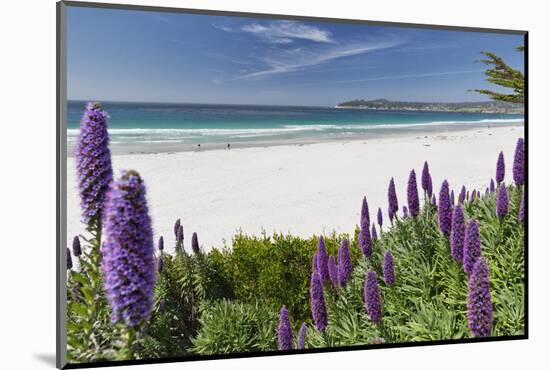 Carmel Beach Spring Vista, California-George Oze-Mounted Photographic Print