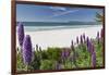 Carmel Beach Spring Vista, California-George Oze-Framed Photographic Print