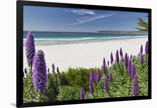 Carmel Beach Spring Vista, California-George Oze-Framed Photographic Print