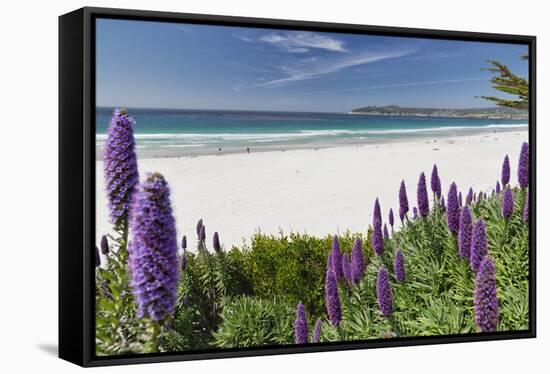 Carmel Beach Spring Vista, California-George Oze-Framed Stretched Canvas