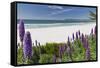 Carmel Beach Spring Vista, California-George Oze-Framed Stretched Canvas