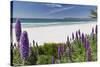 Carmel Beach Spring Vista, California-George Oze-Stretched Canvas