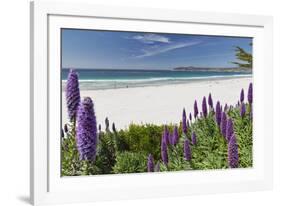 Carmel Beach Spring Vista, California-George Oze-Framed Photographic Print