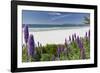 Carmel Beach Spring Vista, California-George Oze-Framed Photographic Print