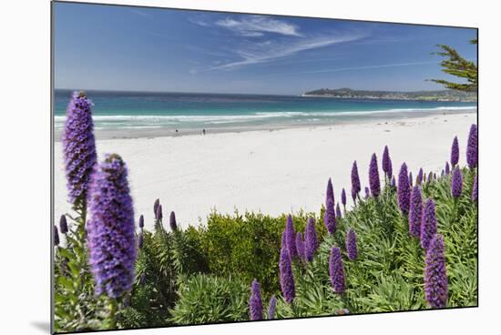 Carmel Beach Spring Vista, California-George Oze-Mounted Photographic Print