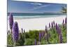 Carmel Beach Spring Vista, California-George Oze-Mounted Photographic Print