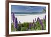 Carmel Beach Spring Vista, California-George Oze-Framed Photographic Print