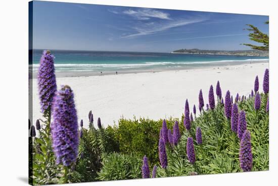 Carmel Beach Spring Vista, California-George Oze-Stretched Canvas