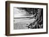 Carmel Beach-George Oze-Framed Photographic Print