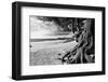 Carmel Beach-George Oze-Framed Photographic Print