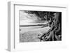 Carmel Beach-George Oze-Framed Photographic Print