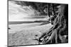 Carmel Beach-George Oze-Mounted Photographic Print