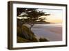 Carmel, California, cypress tree and waves at sunset on ocean, Pebble Beach-Bill Bachmann-Framed Photographic Print