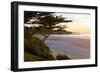 Carmel, California, cypress tree and waves at sunset on ocean, Pebble Beach-Bill Bachmann-Framed Photographic Print